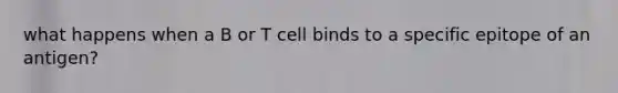 what happens when a B or T cell binds to a specific epitope of an antigen?