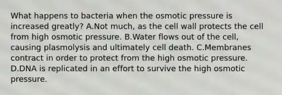 What happens to bacteria when the osmotic pressure is increased greatly? A.Not much, as the cell wall protects the cell from high osmotic pressure. B.Water flows out of the cell, causing plasmolysis and ultimately cell death. C.Membranes contract in order to protect from the high osmotic pressure. D.DNA is replicated in an effort to survive the high osmotic pressure.