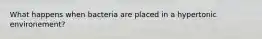 What happens when bacteria are placed in a hypertonic environement?