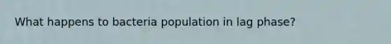 What happens to bacteria population in lag phase?