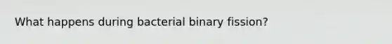 What happens during bacterial binary fission?