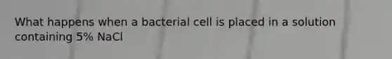 What happens when a bacterial cell is placed in a solution containing 5% NaCl