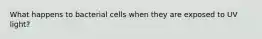 What happens to bacterial cells when they are exposed to UV light?