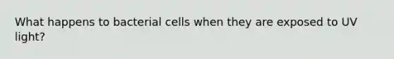 What happens to bacterial cells when they are exposed to UV light?