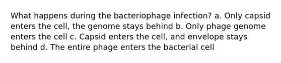 What happens during the bacteriophage infection? a. Only capsid enters the cell, the genome stays behind b. Only phage genome enters the cell c. Capsid enters the cell, and envelope stays behind d. The entire phage enters the bacterial cell