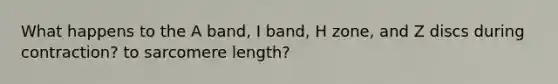 What happens to the A band, I band, H zone, and Z discs during contraction? to sarcomere length?