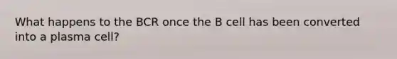 What happens to the BCR once the B cell has been converted into a plasma cell?