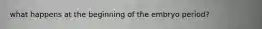 what happens at the beginning of the embryo period?