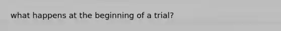 what happens at the beginning of a trial?