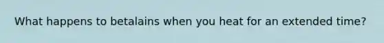 What happens to betalains when you heat for an extended time?