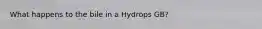 What happens to the bile in a Hydrops GB?