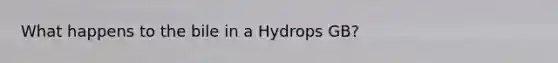 What happens to the bile in a Hydrops GB?