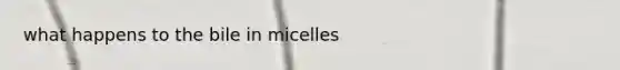 what happens to the bile in micelles