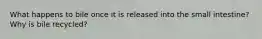 What happens to bile once it is released into the small intestine? Why is bile recycled?