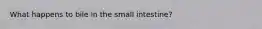What happens to bile in the small intestine?