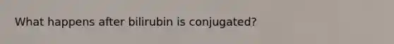 What happens after bilirubin is conjugated?