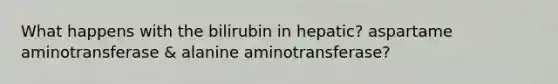 What happens with the bilirubin in hepatic? aspartame aminotransferase & alanine aminotransferase?