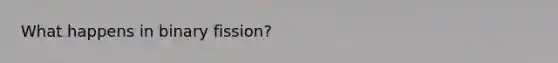 What happens in binary fission?