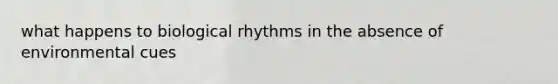 what happens to biological rhythms in the absence of environmental cues