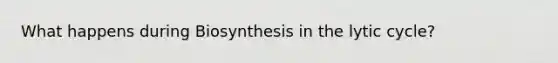 What happens during Biosynthesis in the lytic cycle?