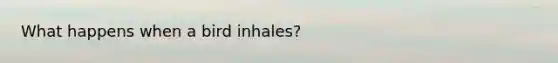 What happens when a bird inhales?