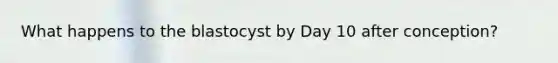 What happens to the blastocyst by Day 10 after conception?