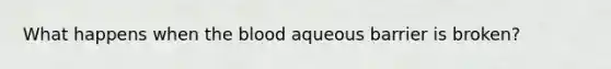 What happens when the blood aqueous barrier is broken?