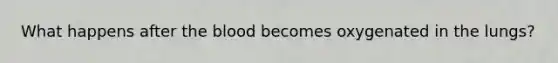 What happens after the blood becomes oxygenated in the lungs?