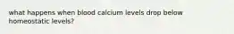 what happens when blood calcium levels drop below homeostatic levels?