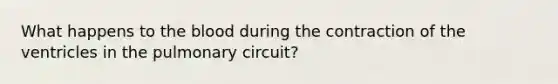 What happens to the blood during the contraction of the ventricles in the pulmonary circuit?