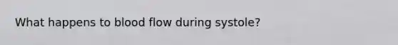 What happens to blood flow during systole?
