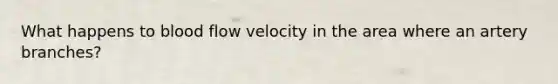 What happens to blood flow velocity in the area where an artery branches?