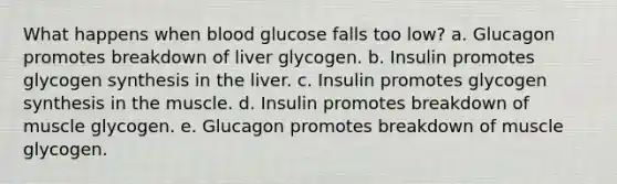 What happens when blood glucose falls too low?​ a. ​Glucagon promotes breakdown of liver glycogen. b. ​Insulin promotes glycogen synthesis in the liver. c. ​Insulin promotes glycogen synthesis in the muscle. d. ​Insulin promotes breakdown of muscle glycogen. e. ​Glucagon promotes breakdown of muscle glycogen.