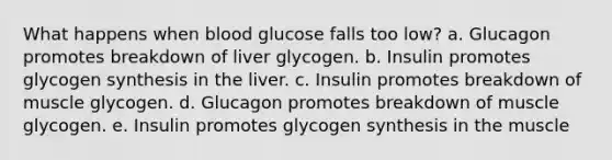 What happens when blood glucose falls too low?​ a. ​Glucagon promotes breakdown of liver glycogen. b. ​Insulin promotes glycogen synthesis in the liver. c. ​Insulin promotes breakdown of muscle glycogen. d. ​Glucagon promotes breakdown of muscle glycogen. e. ​Insulin promotes glycogen synthesis in the muscle