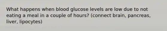 What happens when blood glucose levels are low due to not eating a meal in a couple of hours? (connect brain, pancreas, liver, lipocytes)