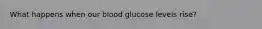 What happens when our blood glucose levels rise?