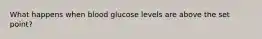 What happens when blood glucose levels are above the set point?