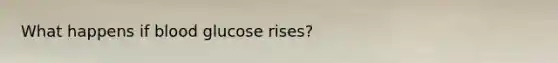 What happens if blood glucose rises?
