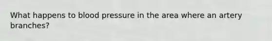 What happens to blood pressure in the area where an artery branches?