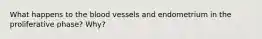 What happens to the blood vessels and endometrium in the proliferative phase? Why?
