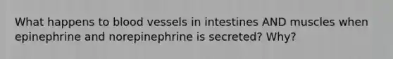 What happens to blood vessels in intestines AND muscles when epinephrine and norepinephrine is secreted? Why?