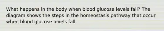 What happens in the body when blood glucose levels fall? The diagram shows the steps in the homeostasis pathway that occur when blood glucose levels fall.