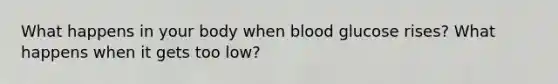 What happens in your body when blood glucose rises? What happens when it gets too low?