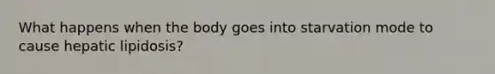 What happens when the body goes into starvation mode to cause hepatic lipidosis?