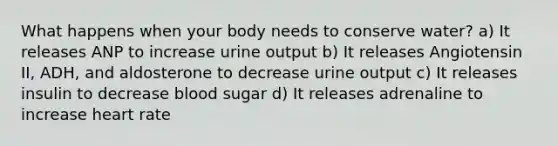 What happens when your body needs to conserve water? a) It releases ANP to increase urine output b) It releases Angiotensin II, ADH, and aldosterone to decrease urine output c) It releases insulin to decrease blood sugar d) It releases adrenaline to increase heart rate