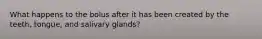 What happens to the bolus after it has been created by the teeth, tongue, and salivary glands?