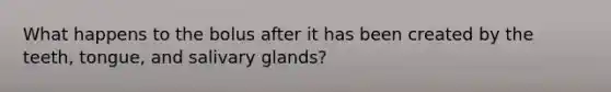 What happens to the bolus after it has been created by the teeth, tongue, and salivary glands?