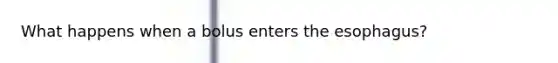 What happens when a bolus enters the esophagus?