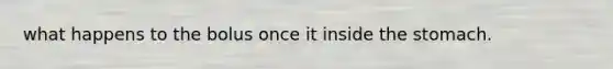 what happens to the bolus once it inside the stomach.