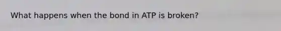 What happens when the bond in ATP is broken?